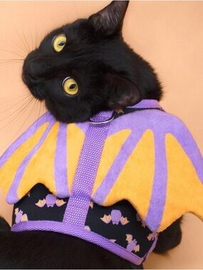 NWT Purple & Orange Bat Wing Cat Harness CAT KIT BY PUSHEEN